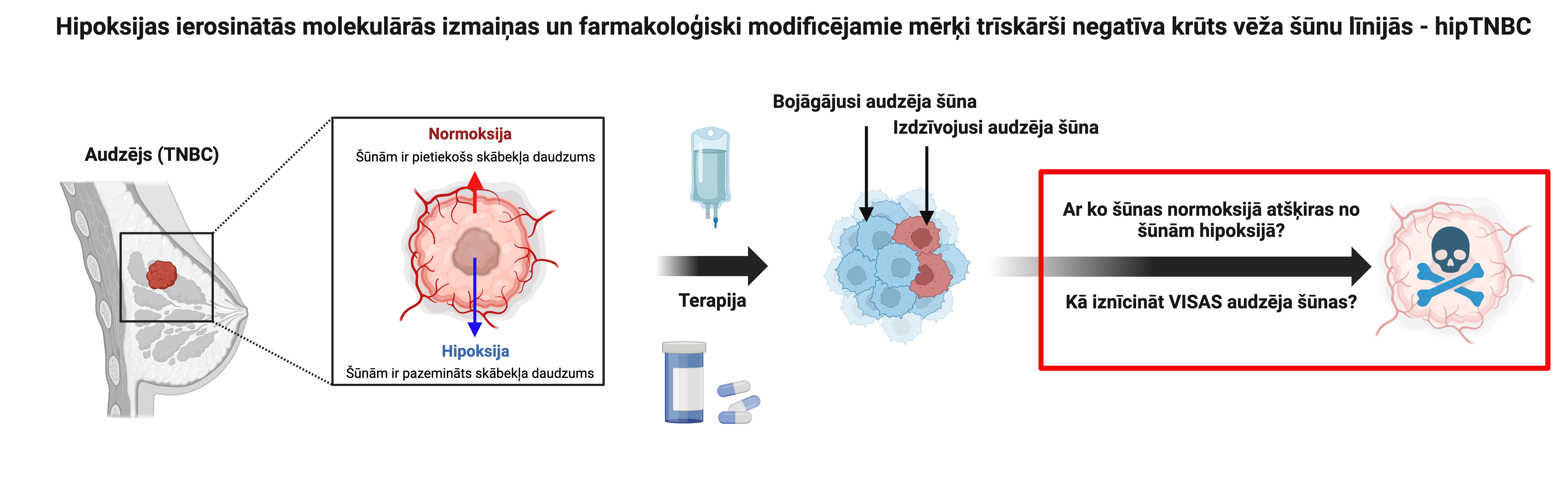 Projekta grafiskais kopsavilkums - Hipoksijas ierosinātās molekulārās izmaiņas un farmakoloģiski modificējamie mērķi trīskārši negatīva krūts vēža šūnu līnijās 